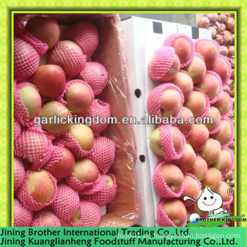 China manzana roja estrella 20kg cartón